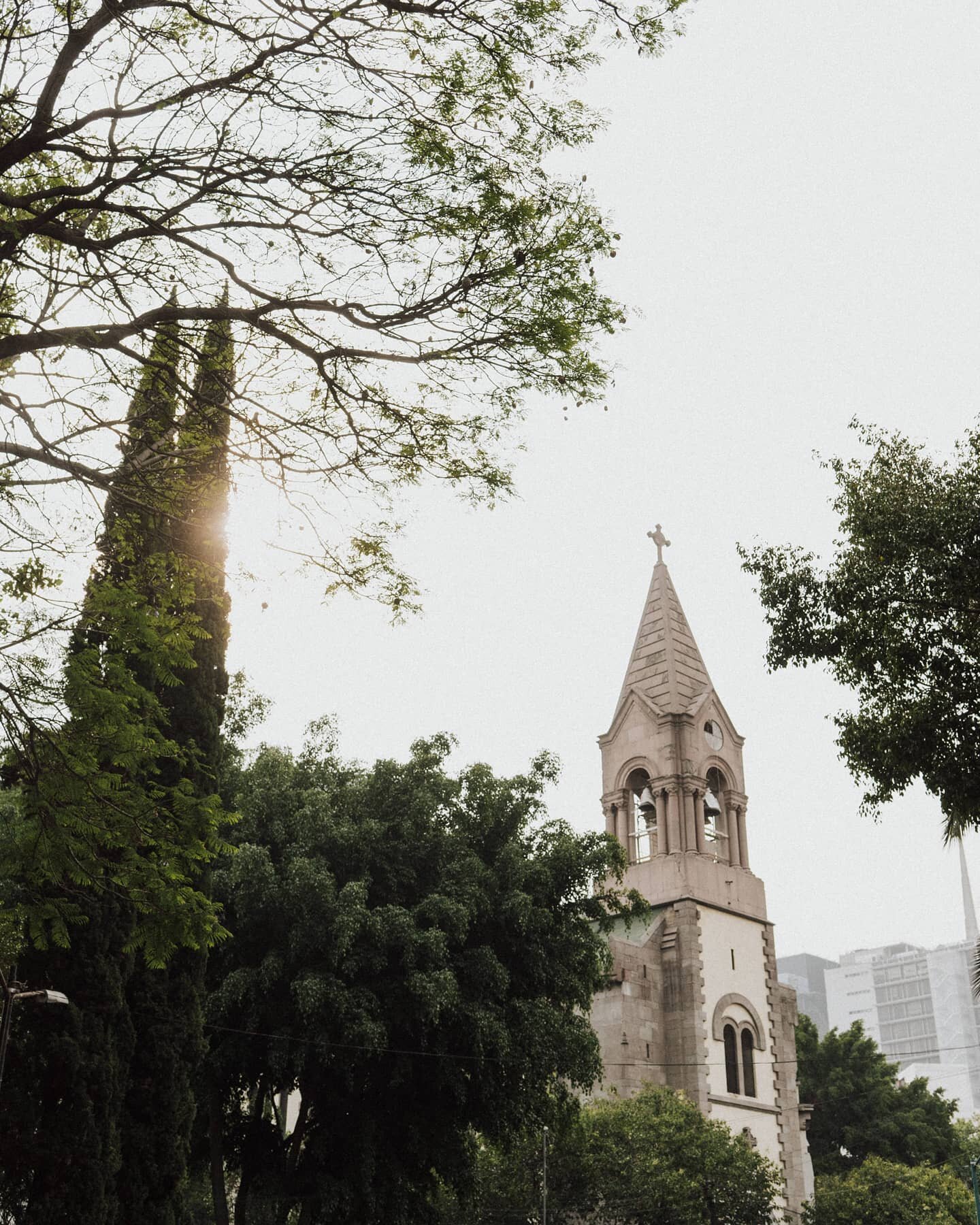 Nuevos aires, nuevas experiencias.
Las mejores vistas desde nuestro nuevo hogar en Col. Ju&aacute;rez. Ven a visitarnos.
Encuentra nuestro men&uacute; y productos en l&iacute;nea 
https:/www.curado.cafe/tienda
#coffeeshop #coffee #coffeetime #coff