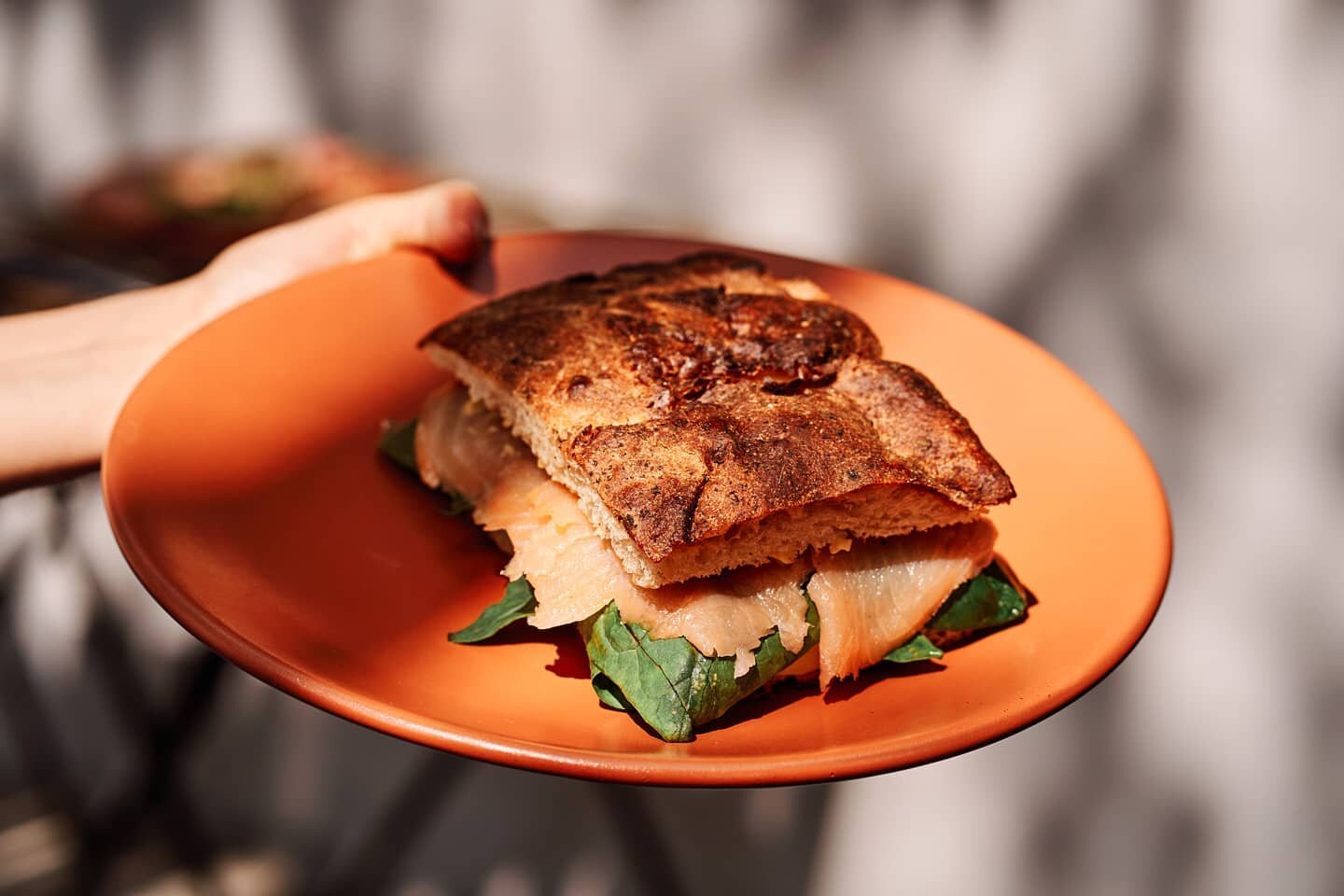 Un sandwich de salm&oacute;n en cada mano cuenta como dieta equilibrada ⚖️
Encuentra nuestro men&uacute; en 
www.curado.cafe/comida
#coffeeshop #coffee #coffeetime #cafe #consumelocalmx #romanorte #cafecurado #mexicano #mexican #stayhome #ciudaddem